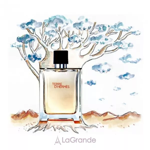 Hermes Terre D`Hermes ����� (��������� ���� 100 �� + ���� ��� ���� 80 �� + ������ ����� ������ 40 ��)