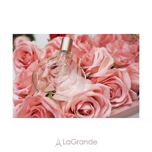 Donna Karan( DKNY)  Pure DKNY A Drop Of Rose ����������� ����
