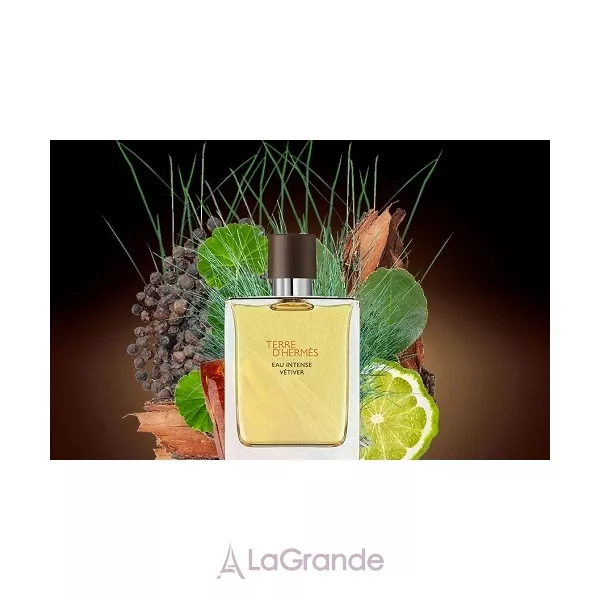 Hermes Terre D`Hermes Eau Intense Vetiver Hermes ����������� ���� (������)