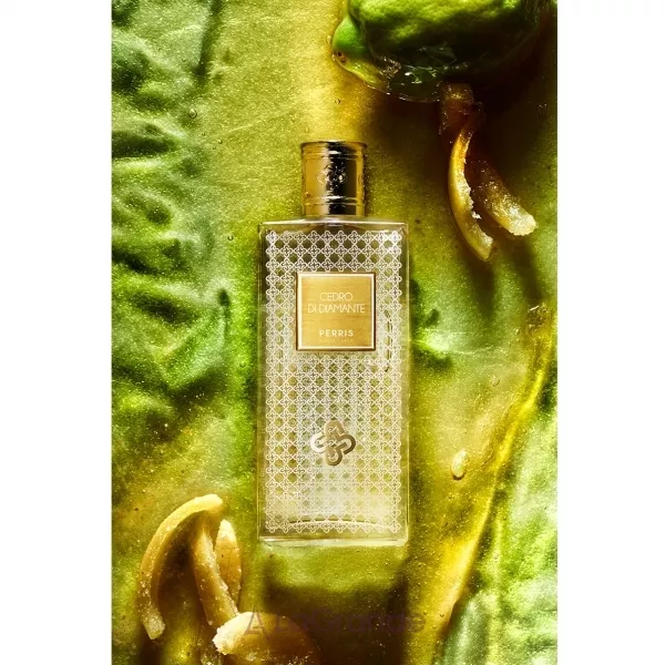 Perris Monte Carlo Cedro di Diamante ��������������� ����
