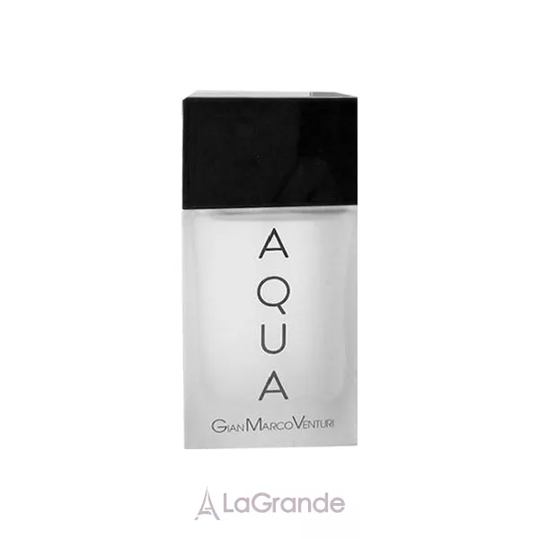Gian Marco Venturi Homme Aqua ��������� ����