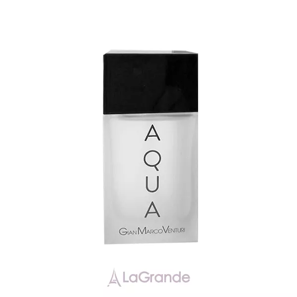 Gian Marco Venturi Homme Aqua ��������� ���� (������)