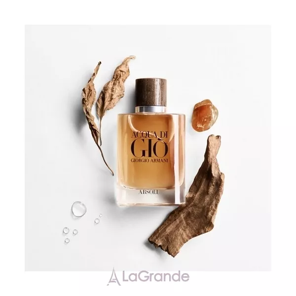 Armani Acqua di Gio Absolu ��������������� ���� (������)