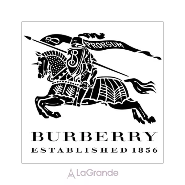 Burberry Brit Summer for Men ��������� ���� (������ ��� ��������)
