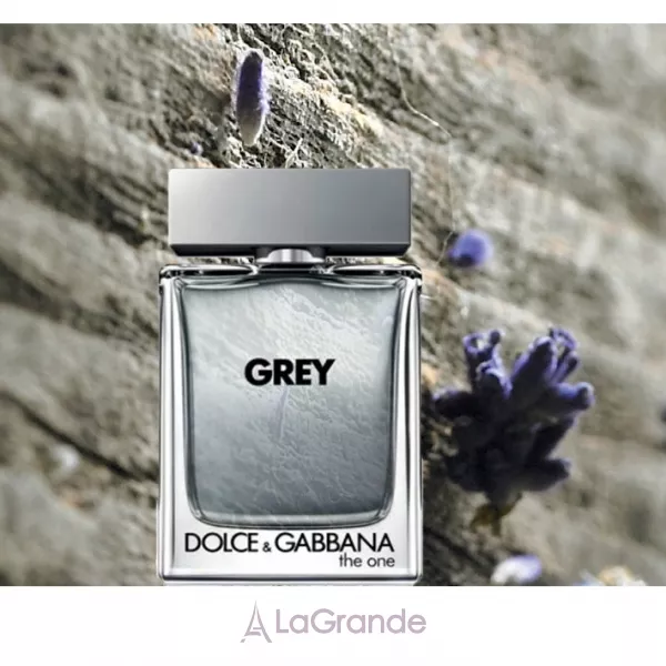 Dolce & Gabbana The One Grey �������� ����