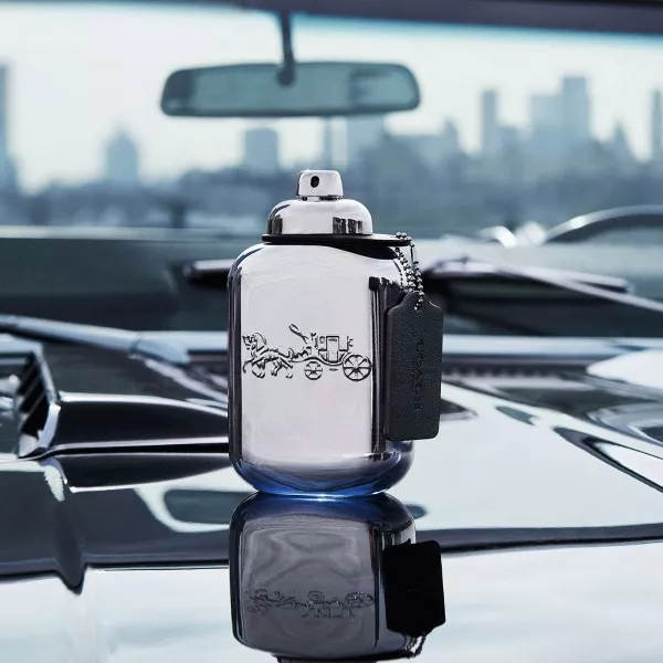 Coach Platinum ��������������� ����