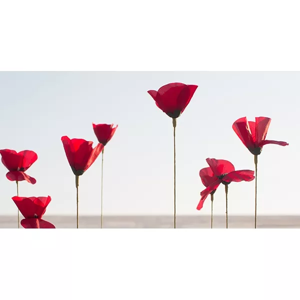 Kenzo Flower by Kenzo ����������