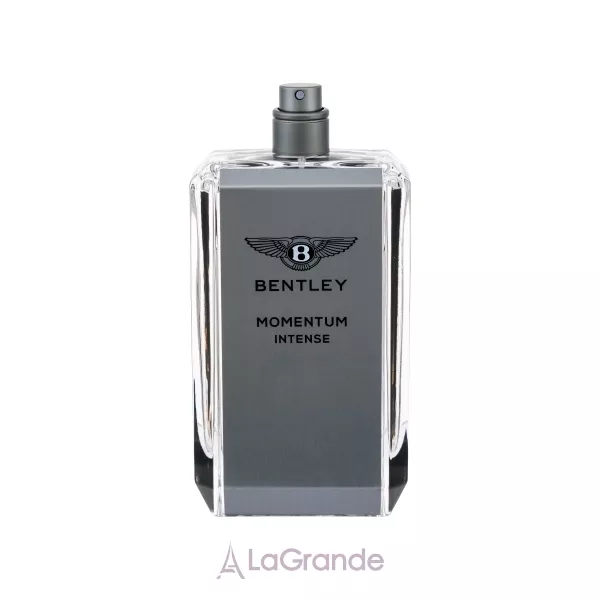 Bentley Momentum �������� ���� (������ ��� ��������)
