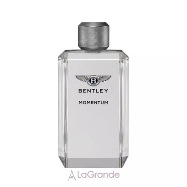 Bentley Momentum �������� ���� (������ ��� ��������)