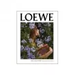 Loewe Aura Loewe Floral   (  )