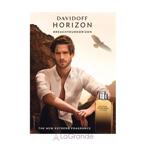 Davidoff Horizon Extreme ����������� ���� (������ ��� ��������)