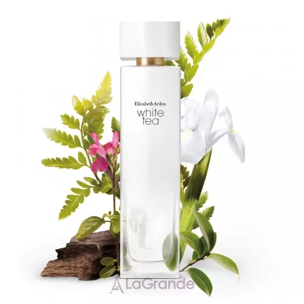Elizabeth Arden White Tea ����� (��������� ���� 50 �� + ���� ��� ���� 100 ��)