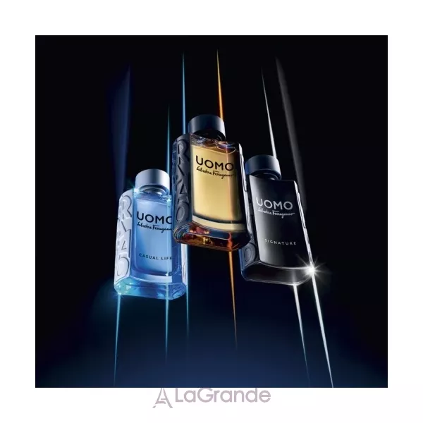 Salvatore Ferragamo Uomo Signature ��������������� ���� (������ ��� ��������)