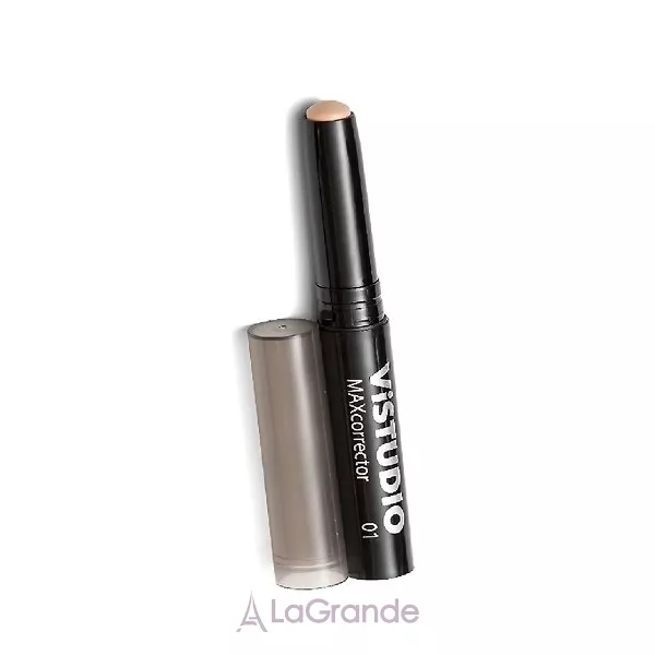 VISTUDIO Maxcorrector �������� ��� �������