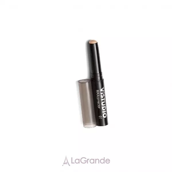 VISTUDIO Maxcorrector �������� ��� �������