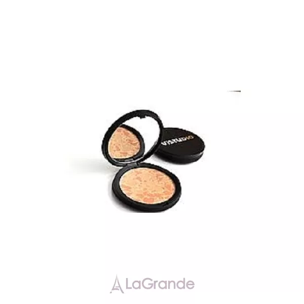 VISTUDIO Compact Face Powder Palladio Effect Light ����� ���������� 