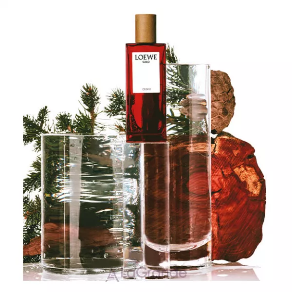 Loewe Solo Loewe Cedro �������� ����