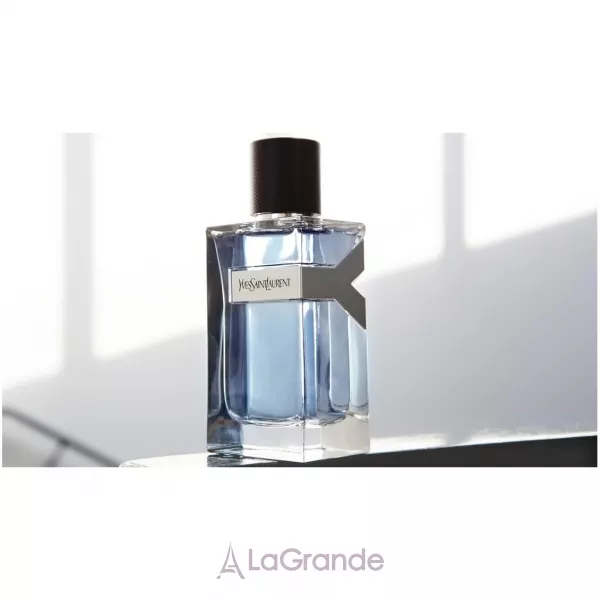 Yves Saint Laurent Y ���� (�������� ���� 100 �� + ������� ���� ������ 50 �� + ���� ��� ���� 50 ��)