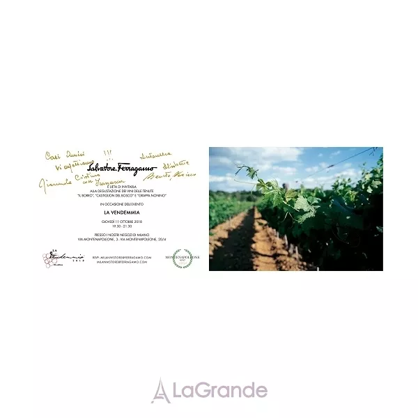 Salvatore Ferragamo Vendemmia ��������� ���� (������ ��� ��������)