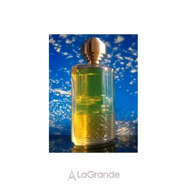 Loewe Tras La Tormenta En El Jardin Botanico ��������������� ����
