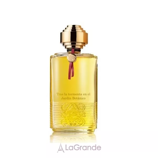 Loewe Tras La Tormenta En El Jardin Botanico ��������������� ����