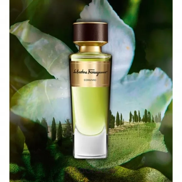Salvatore Ferragamo Convivio ��������� ����
