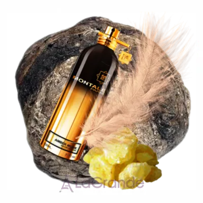 Montale Amber Musk  