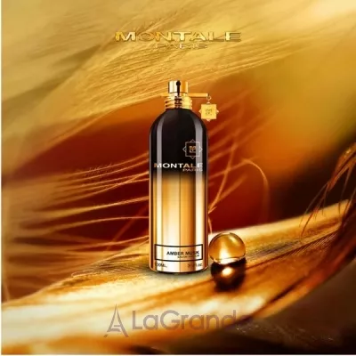 Montale Amber Musk   ()