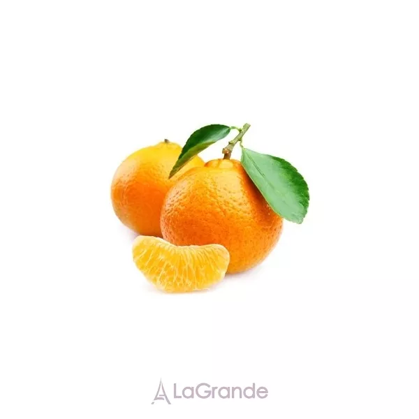 The Merchant of Venice Mandarin ��������� ����