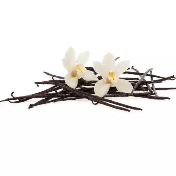The Merchant of Venice  Vanilla Orchid ��������� ����