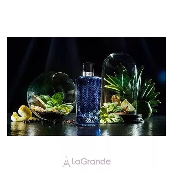 The Merchant of Venice  Venetian Blue Intense ��������������� ����