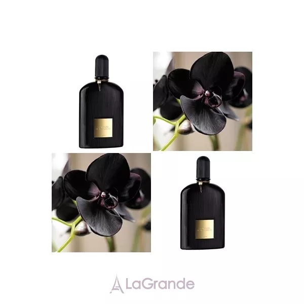 Tom Ford Black Orchid ���� (����������� ���� 50 �� + �������� 10 ��)