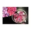 Versace Bright Crystal Absolu  (  90  +  10  + )