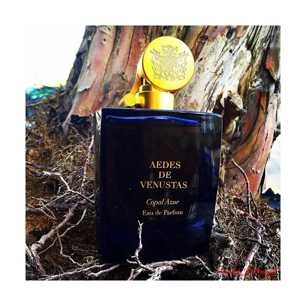 Aedes de Venustas Copal Azur ��������������� ���� (������ ��� ��������)