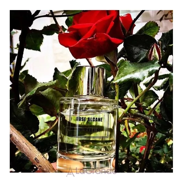 Aether Rose Alcane ��������������� ����