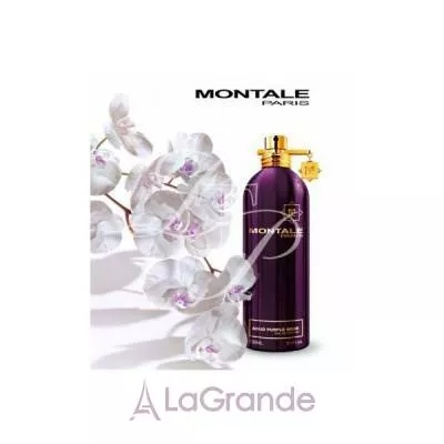 Montale Aoud Purple Rose  