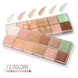 O.TWO.O Rose Gold 12 Camouflage Cream Palette    