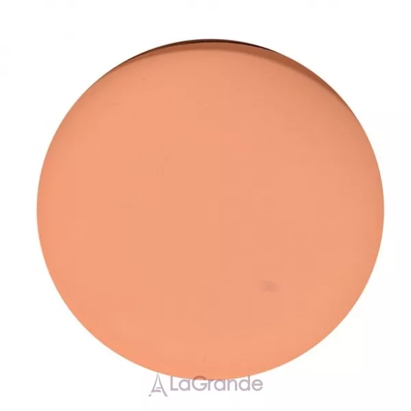 Cinecitta Phito Make Up Compact Foundation ���������� ������-��������� ��� ����