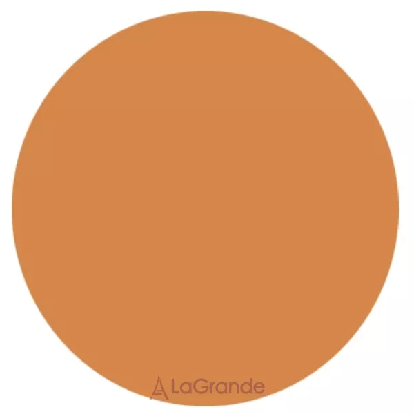 Cinecitta Phito Make Up Compact Foundation ���������� ������-��������� ��� ����