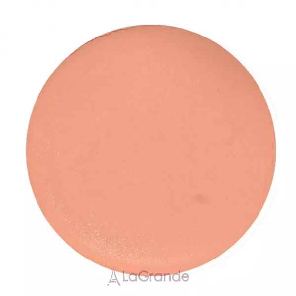 Cinecitta Phito Make Up Compact Foundation ���������� ������-��������� ��� ����