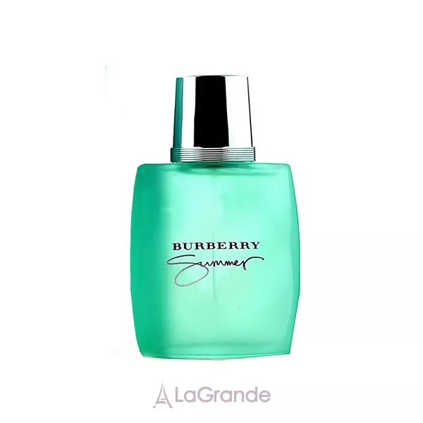 Burberry Summer for Men ��������� ���� (������)