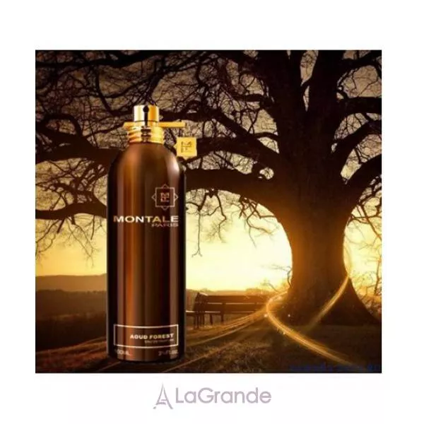 Montale Aoud Forest ����������� ����