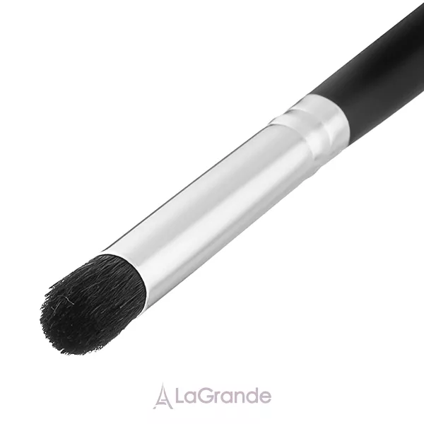 Colordance Brush �10 ����� ��� �����