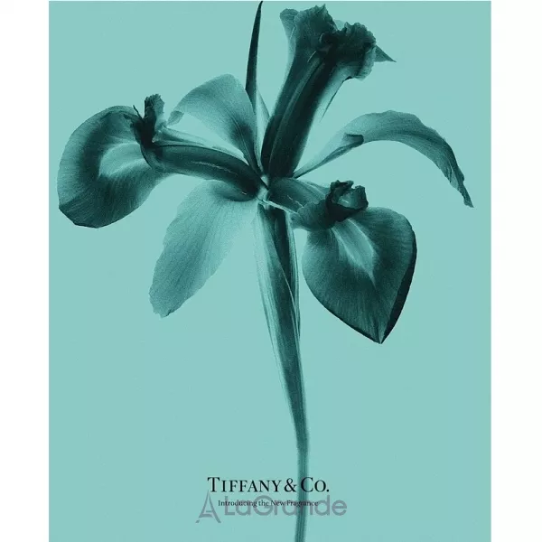 Tiffany Tiffany & Co Intense ����������� ����