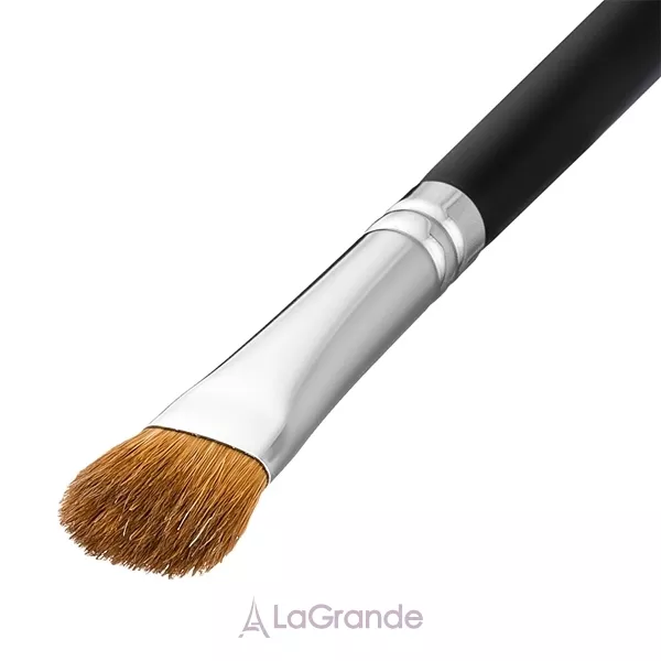 Colordance Brush �13 ����� ��� �����