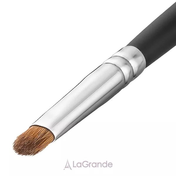 Colordance Brush �16 ����� ��� �����