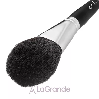 Colordance Brush 1   
