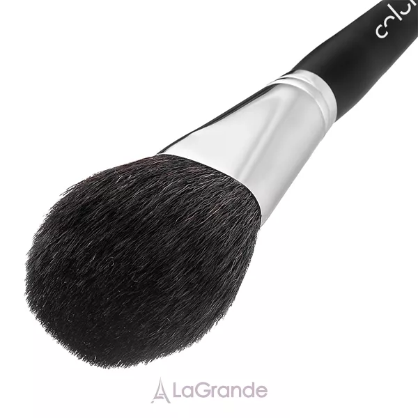 Colordance Brush �1 ����� ��� �����