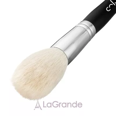 Colordance Brush 43     