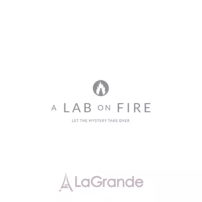 A Lab on Fire What We Do In Paris Is Secret  